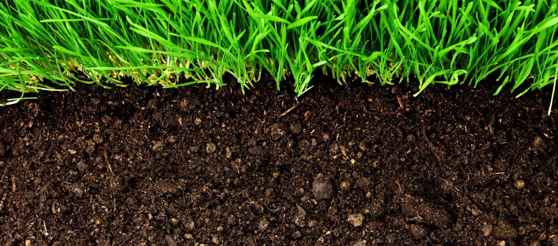 McConkey's Property Services LLC Banner