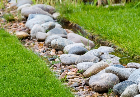 Creative Drainage Solutions That Double as Landscape Features