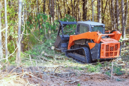 Land Clearing & Brush Removal Thumbnail